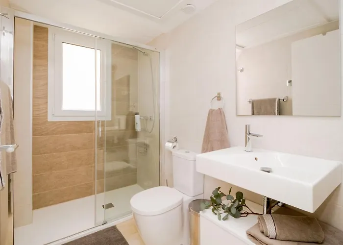 公寓 Espanatour Recoleta 3c 托雷维耶哈